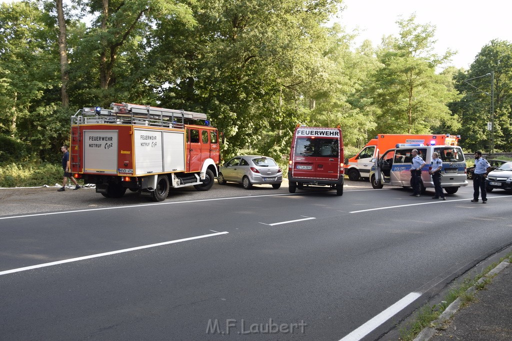 Waldbrand Koeln Hoehenhaus Hoehenfelder Mauspfad P010.JPG - Miklos Laubert